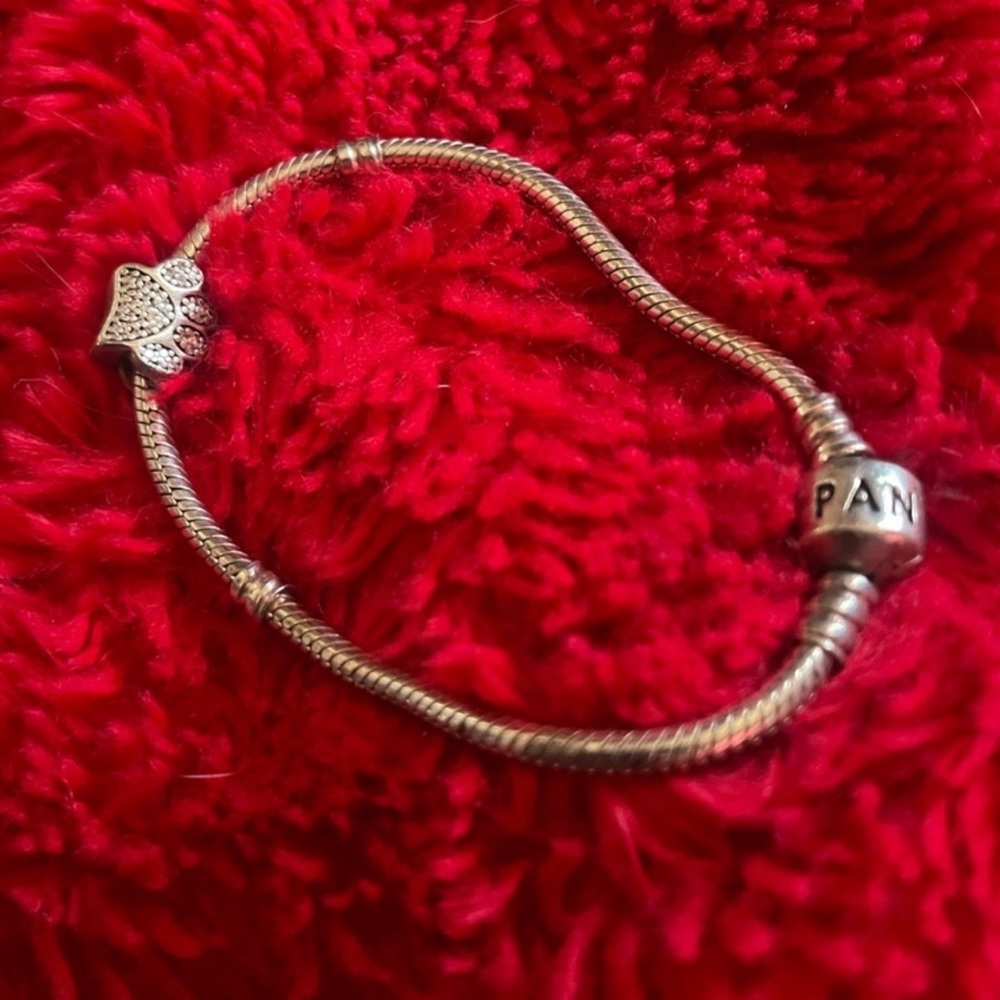 Pandora bracelet